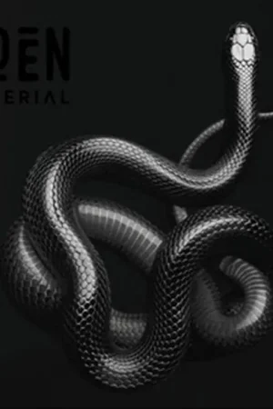 In Demand Soen - Imperial (LP)