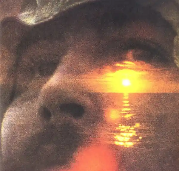 Genuine David Crosby - If I Could Only Remember My Name (LP)