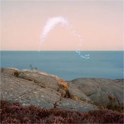 Cassandra Jenkins - An Overview On Phenomenal Nature (LP) Exclusive