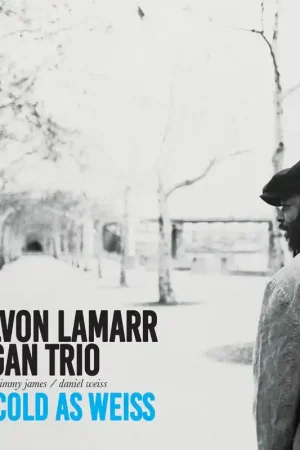 Best Price Delvon -Organ Trio- Lamarr - Cold As Weiss (LP)