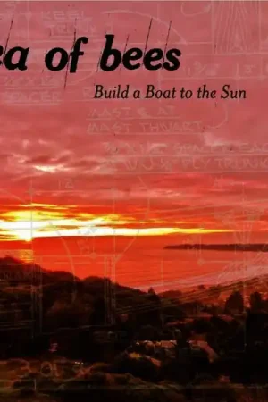 Secure Checkout Sea of Bees - Build a Boat To the Sun (LP)