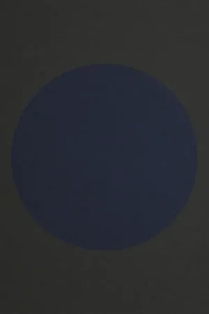 Handmade Beach House - B-Sides and Rarities (LP)
