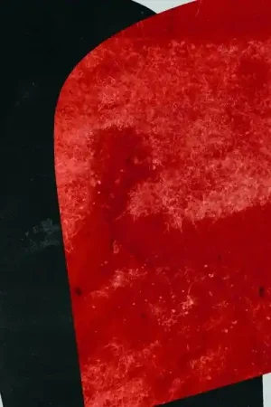 Affordable Rival Consoles - Persona (2 LPs)