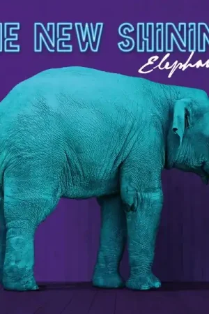 Direct From Manufacturer New Shining - Elephant (LP)