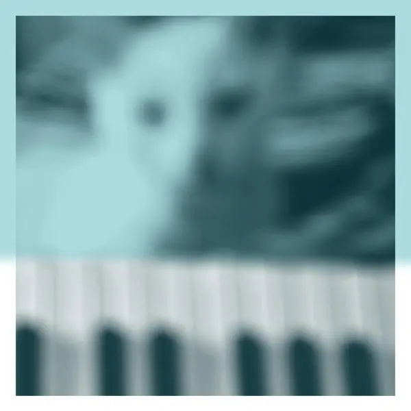 Peter Broderick - Piano Works Vol. 1 (2 LPs) Place Order