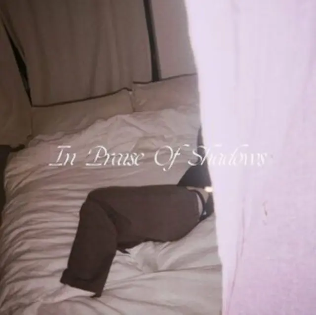 Don’t Miss Out Puma Blue - In Praise of Shadows (2 LPs)