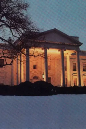 Dead C - The White House (2 LPs) Order Now