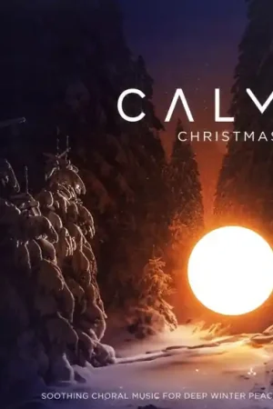 V/A - Calm Christmas (LP) Low Price