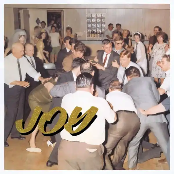 Idles - Joy As an Act of Resistance (LP) Don’t Miss Out