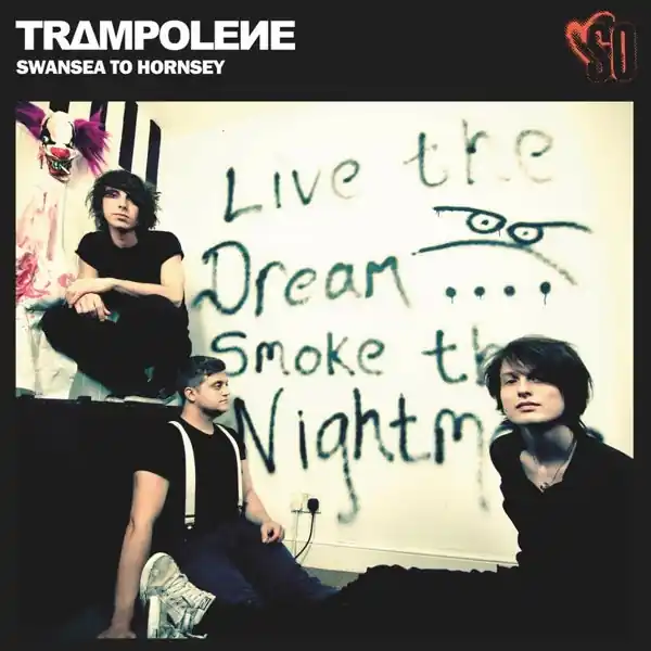 Trampolene - Swansea To Hornsey (LP) Limited Offer