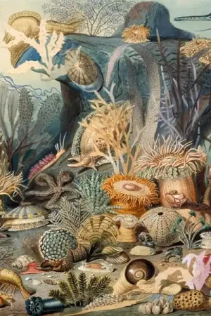 Chypho - Episodes In Oceanography, Vol. 2 (2 LPs) Grab Now