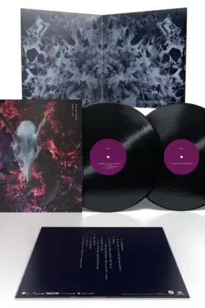 Colin Stetson - The Love It Took To Leave You (2 LPs) Super Sale