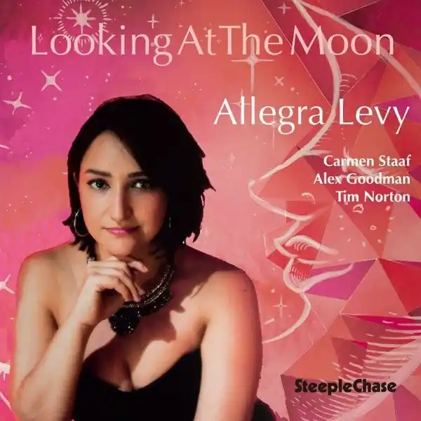 Allegra Levy - Looking At the Moon (LP) Handmade