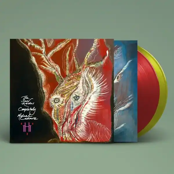 Exclusive Offer Michael Cashmore - The Snow Abides Completely (2 LPs)