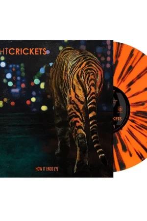 Next Day Delivery Night Crickets - How It Ends () (LP)