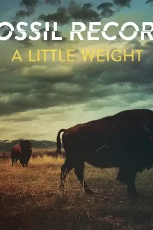Buy Today Fossil Evolution - A Little Weight (LP)