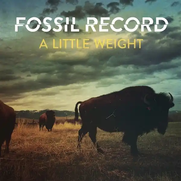 Buy Today Fossil Evolution - A Little Weight (LP)