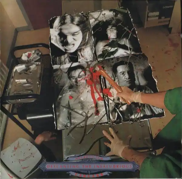 Affordable Carcass - Necrotism - Descanting the Insalubrious (LP)