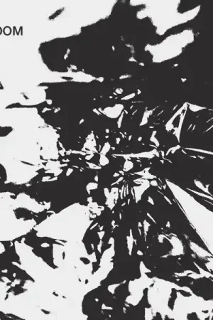 Bdrmm - Bedroom (LP) In Demand