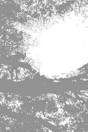 Time-Limited Comets On Fire - Field Recordings From the (LP)
