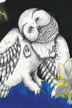 Next Day Delivery Songs: Ohia - Magnolia Electric Co (2 LPs)
