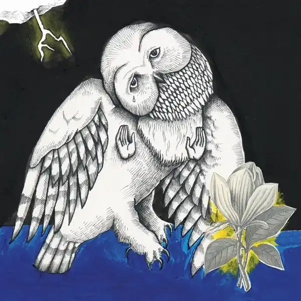 Next Day Delivery Songs: Ohia - Magnolia Electric Co (2 LPs)