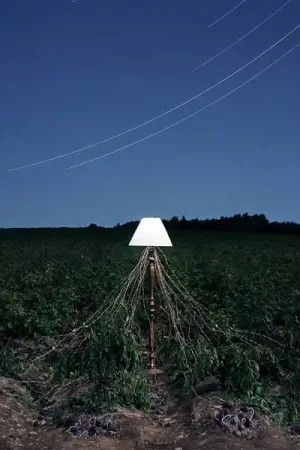 Top Rated Beacon - Escapements (LP)