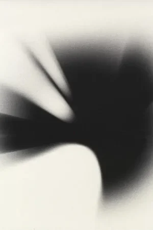 Linkin Park - A Thousand Suns (2 LPs) Bulk Order
