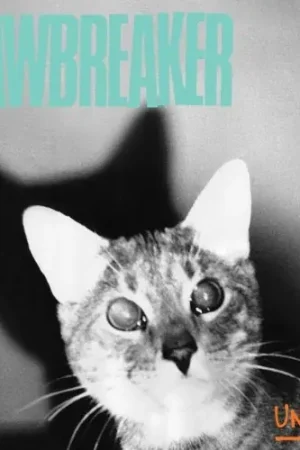 Limited Edition Jawbreaker - Unfun (LP)