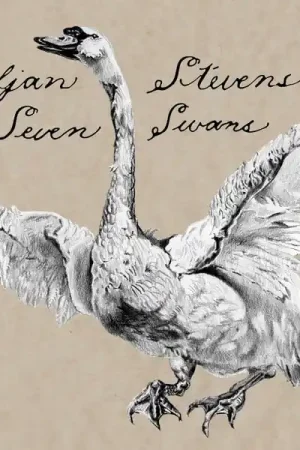 Budget Sufjan Stevens - Seven Swans (LP)