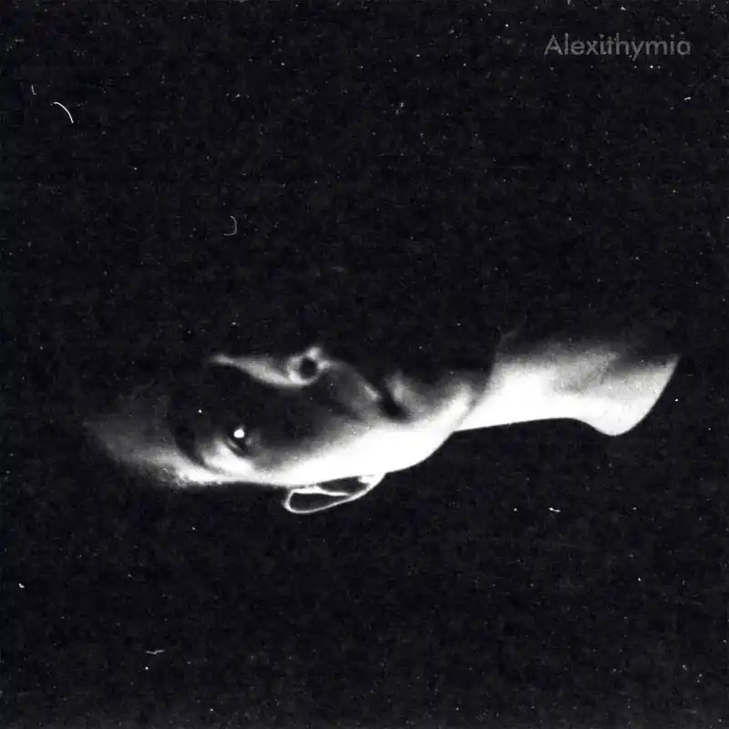 Buy Direct Quinn Oulton - Alexithymia (LP)