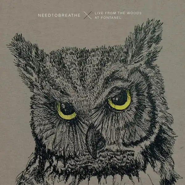 Don’t Miss Out Needtobreathe - Live From the Woods (2 LPs)
