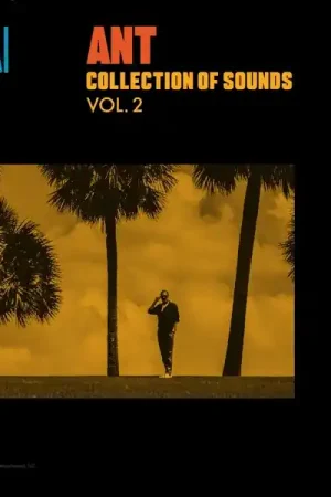 Ant - Collection of Sounds Vol. 2 (LP) Authentic