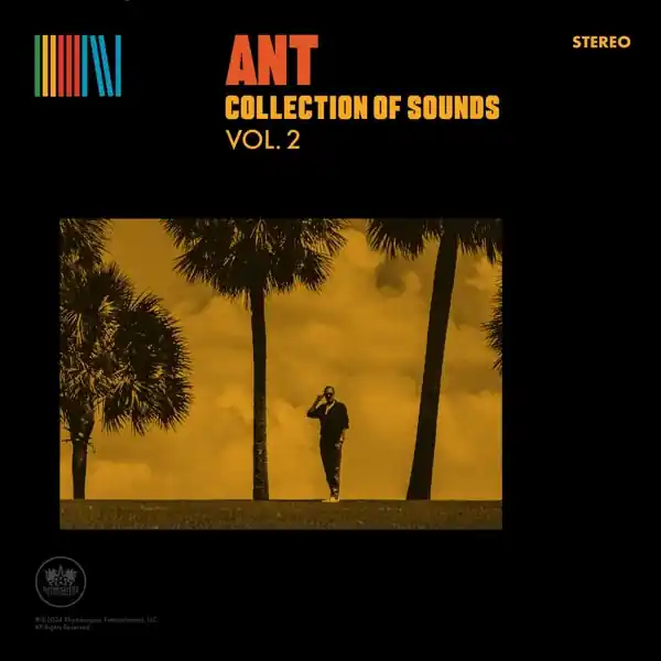 Ant - Collection of Sounds Vol. 2 (LP) Authentic