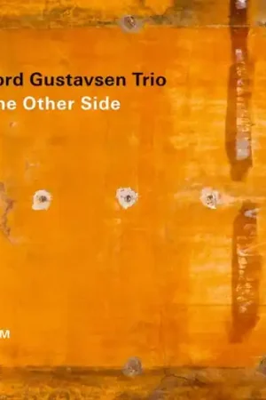 Reduced Price Tord -Trio- Gustavsen - Other Side (LP)