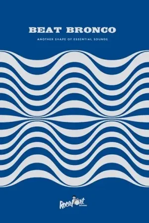 Beat Bronco - Another Shape of Essential Sounds (LP) Special Discount