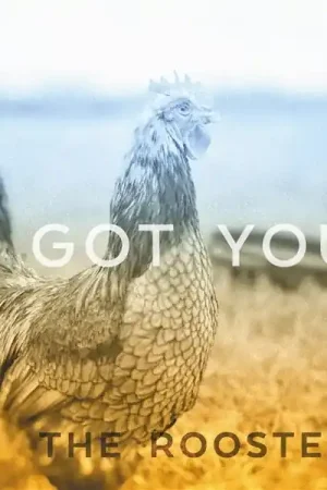 Roosterz - I Got You (Single) Clearance