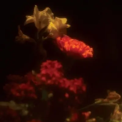 New Release Gregoire Gerstmans - Hypnagogie (LP)
