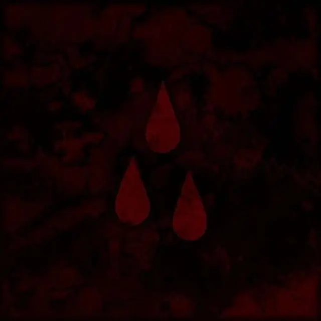 AFI - AFI (THE BLOOD ALBUM) (Vinyl LP) Budget
