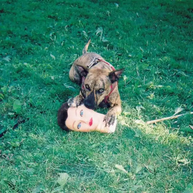 Affordable JOYCE MANOR - CODY (DL CARD) (Vinyl LP)