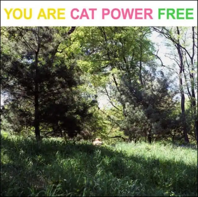 CAT POWER - YOU ARE FREE (Vinyl LP) Best Price