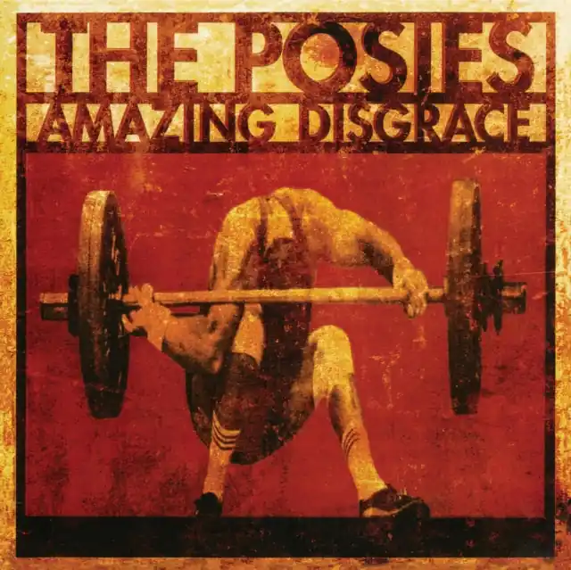 POSIES - AMAZING DISGRACE (Vinyl LP) Certified