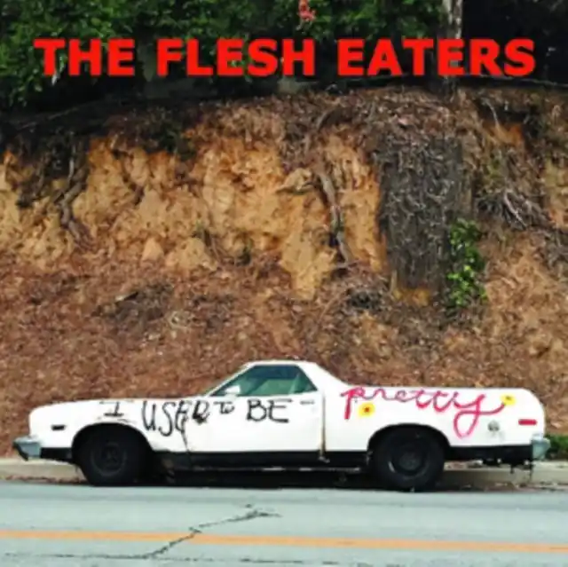Today Only FLESH EATERS - I USED TO BE PRETTY (2LP/DL CODE) (Vinyl LP)