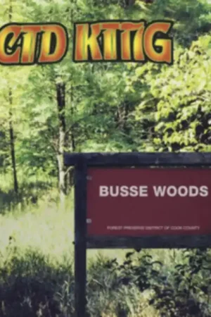 ACID KING - BUSSE WOODS (Vinyl LP) Sale