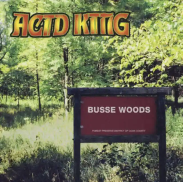 ACID KING - BUSSE WOODS (Vinyl LP) Sale