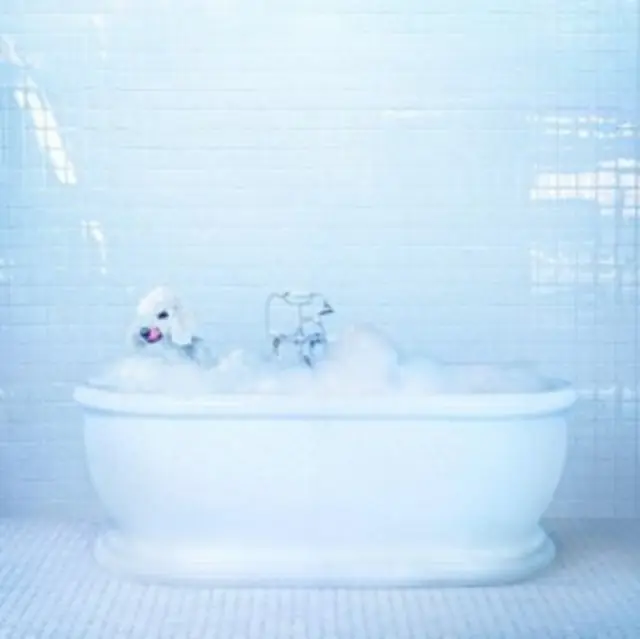 Trusted Brand FRANKIE COSMOS - VESSEL (Vinyl LP)