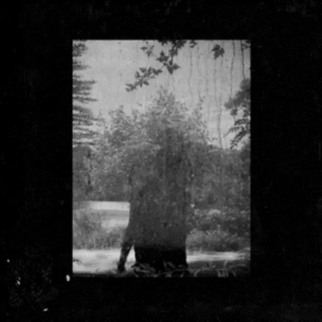 Factory Price GROUPER - RUINS (Vinyl LP)