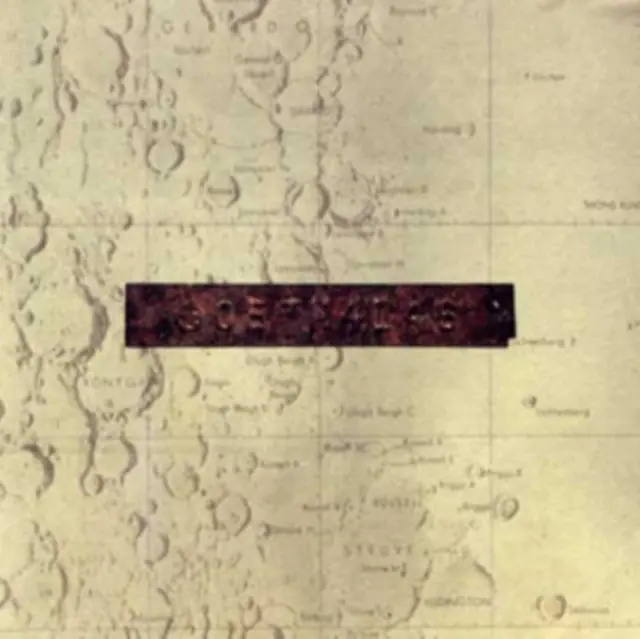 Free Shipping LOW - THINGS WE LOST IN THE FIRE (Vinyl LP)