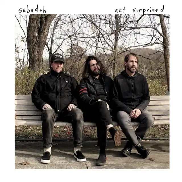 SEBADOH - ACT SURPRISED (Vinyl LP) Low Price