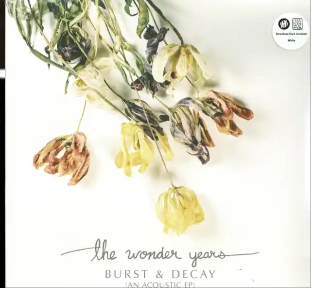 WONDER YEARS - BURST & DECAY (Vinyl LP) High Quality